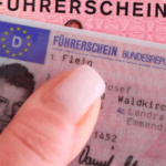 Driver's License Renewal Process.
